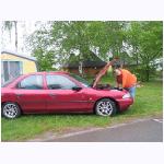 uetz_schnickrs29.html